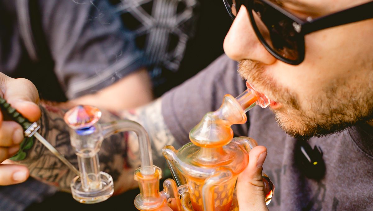 autoflower hash american autoflower cup autoflower hash american autoflower cup