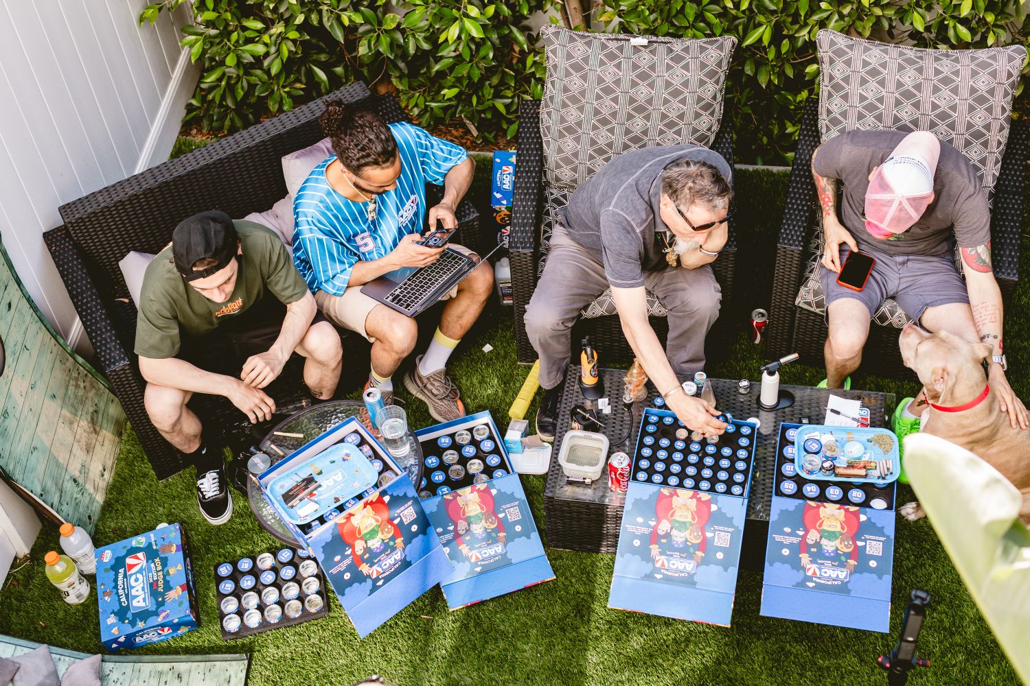 categories american autoflower cup 2026 categories american autoflower cup 2026