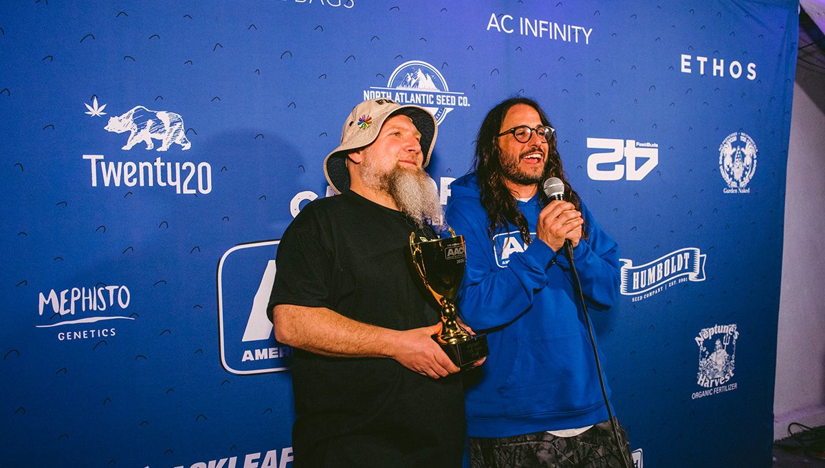 best autoflowers genetics