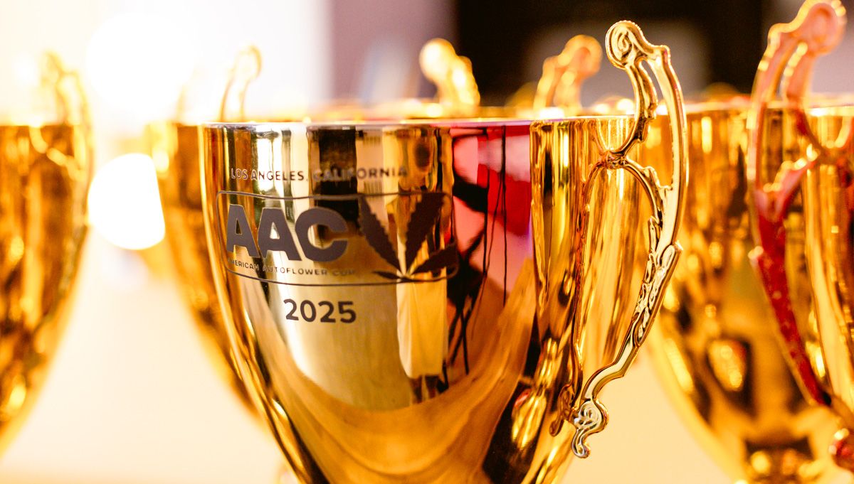 ATLAS SEEDS highest THC autoflower 2025 in The American Autoflower Cup 2025 ATLAS SEEDS highest THC autoflower 2025 in The American Autoflower Cup 2025