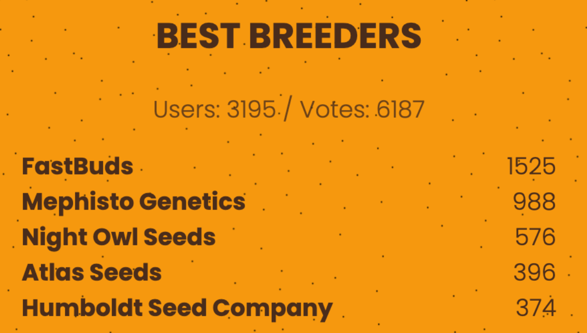 best autoflower breeder american autoflower cup 2026 best autoflower breeder american autoflower cup 2026