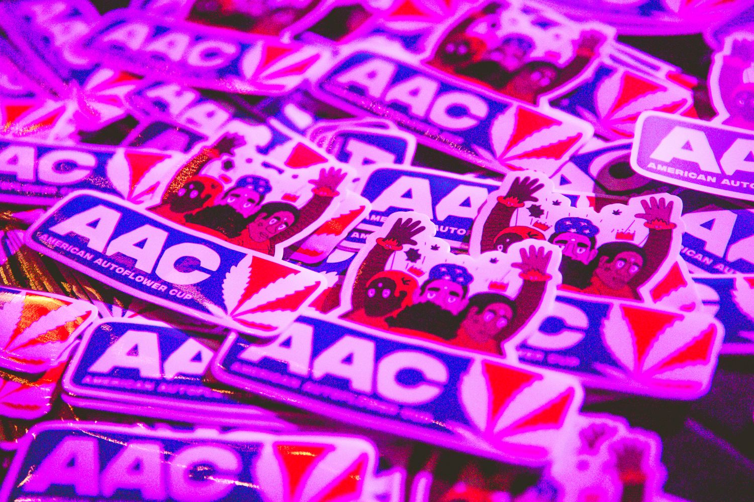 american autoflower cup twenty20 mendo american autoflower cup twenty20 mendo