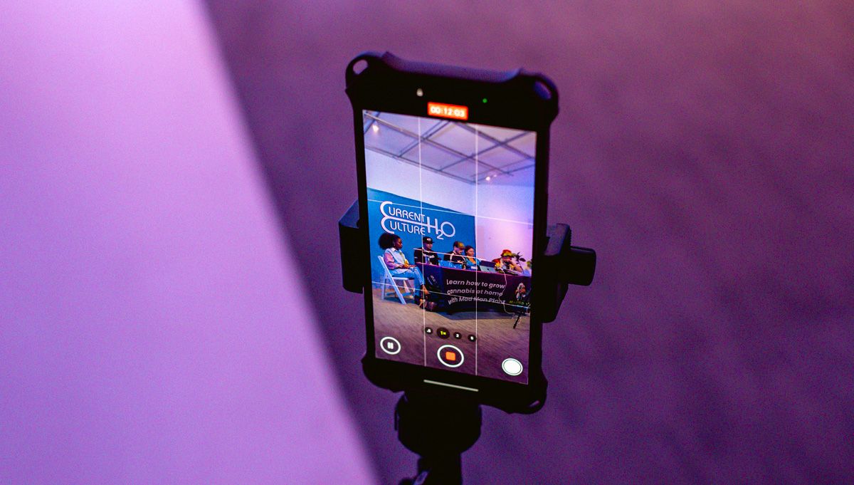 madman plant american autoflower cup mental health panel madman plant american autoflower cup mental health panel