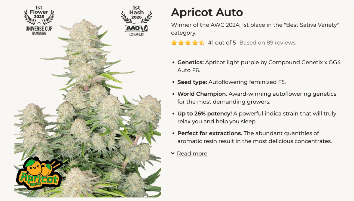 apricot auto fast buds rosin american autoflower cup
