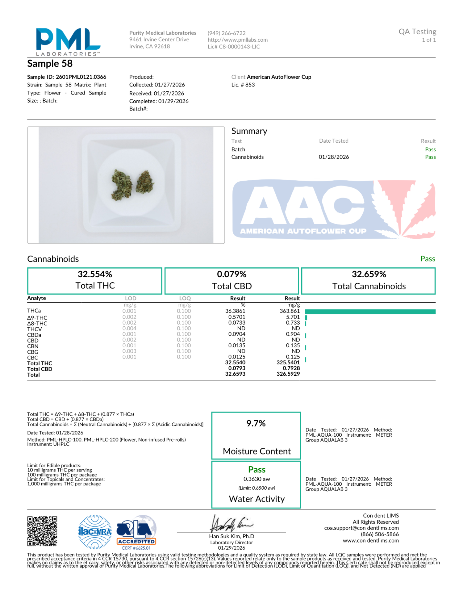 apricot auto fast buds