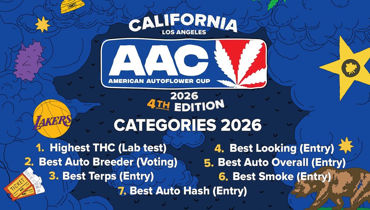 american autoflower cup cannabis competition california