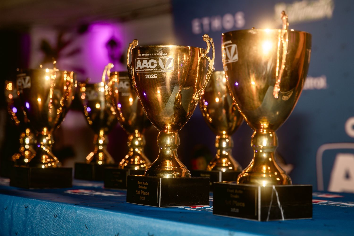 best autoflower breeder 2025 fast buds american autoflower cup best autoflower breeder 2025 fast buds american autoflower cup