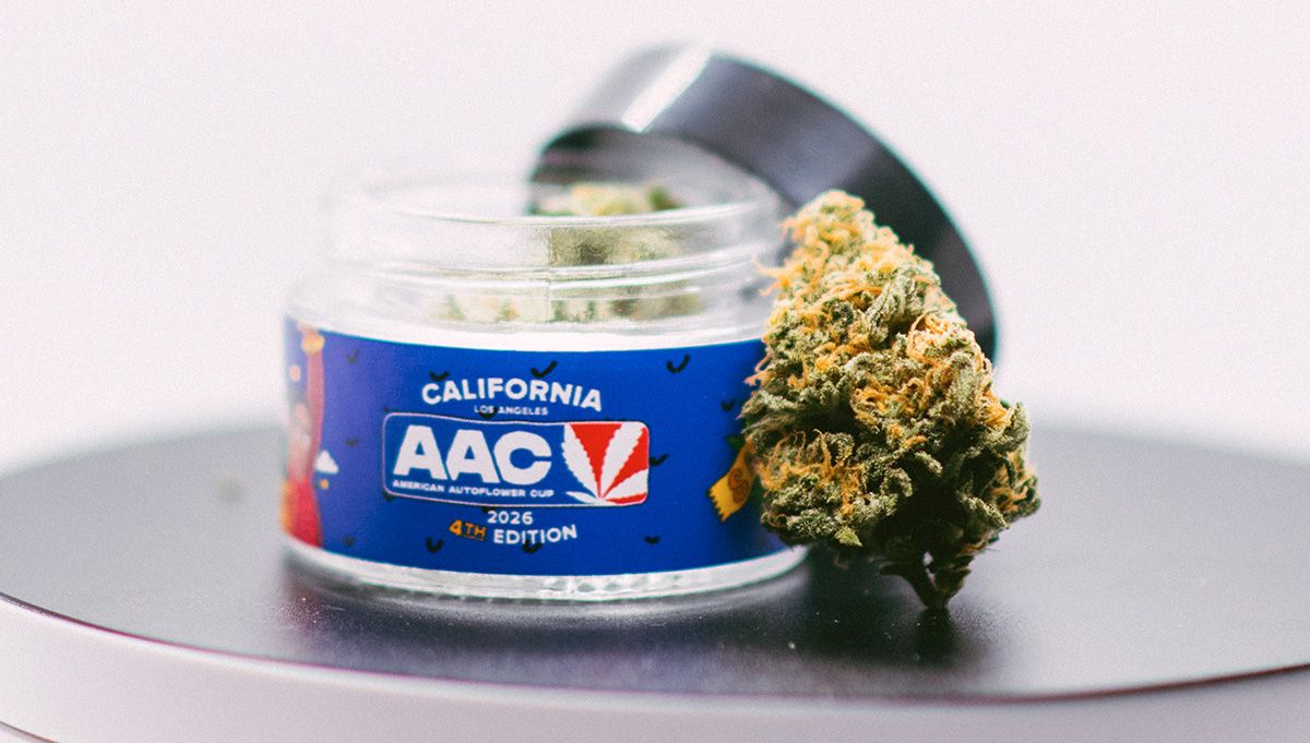 american autoflower cup