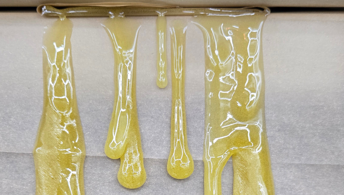 apricot auto fast buds best rosin american autoflower cup