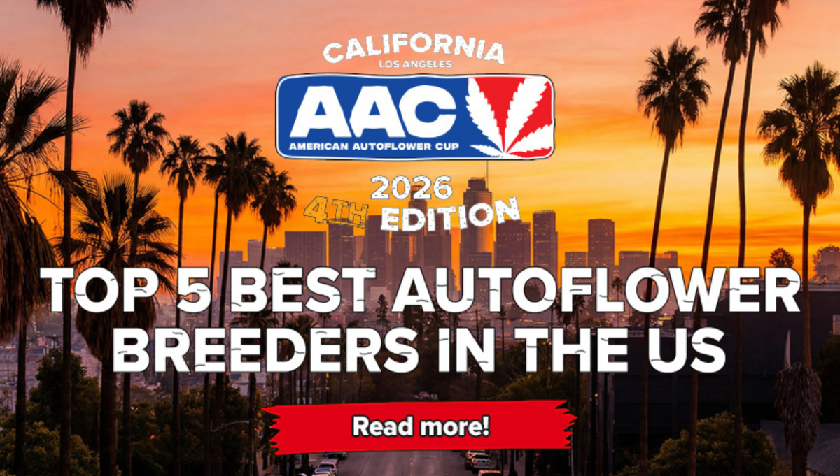 Top 5 Best Autoflower Breeders in the US