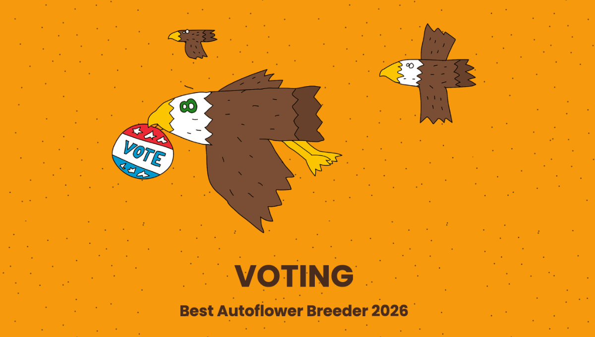 The Community Speaks: Early Rankings for the Best Autoflower Breeder