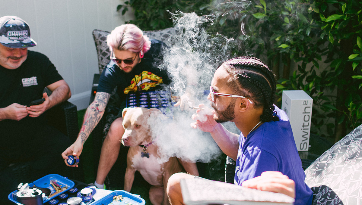 Which Are The Best Smoking Autoflowers in 2026?