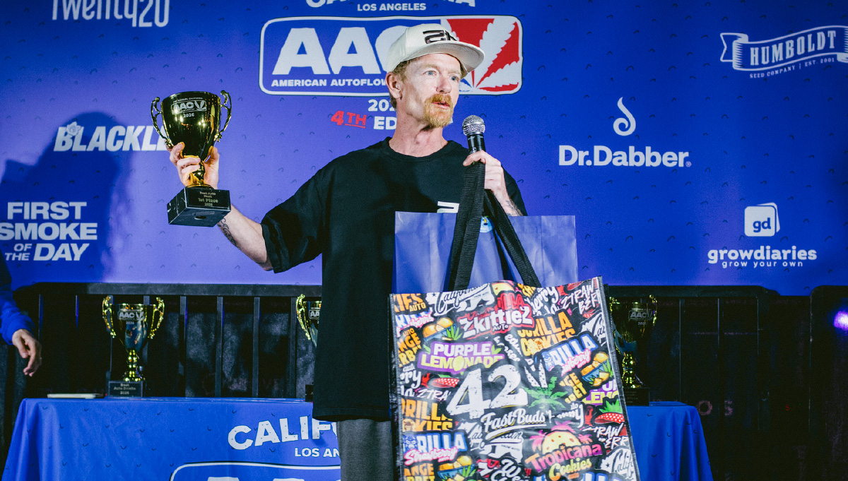 Fast Buds Apricot Auto: Behind the scenes of the Best Autoflower Rosin 2026