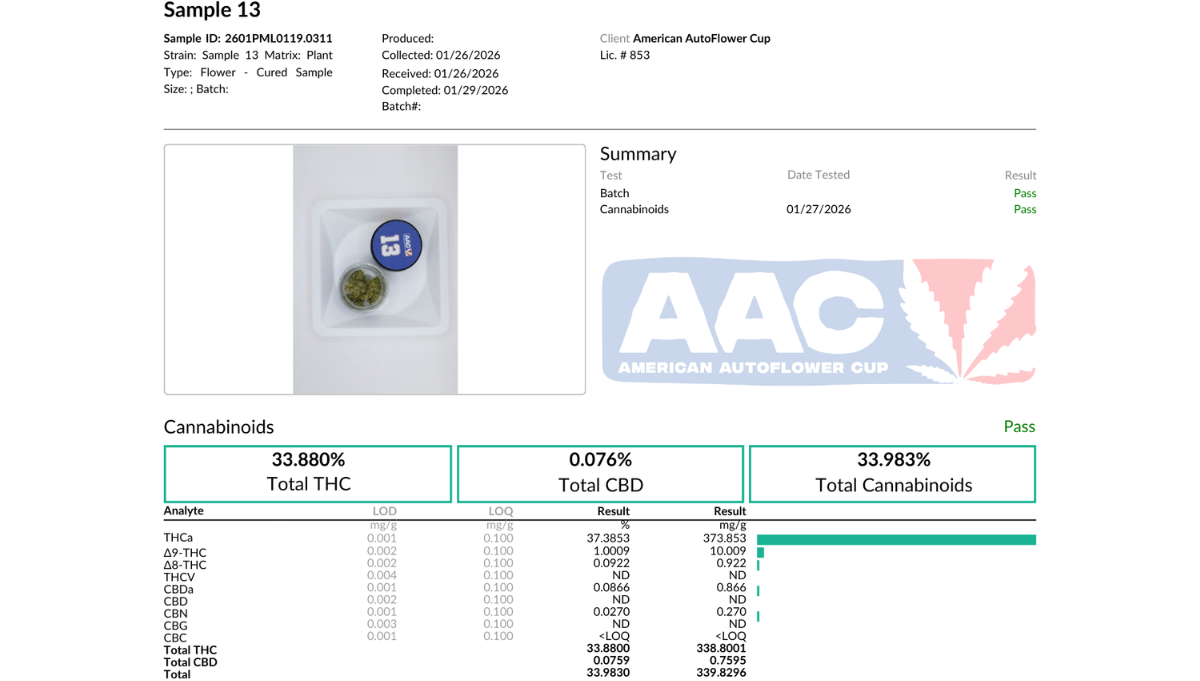 These are the Top 10 Highest THC Autoflower Strains in 2026