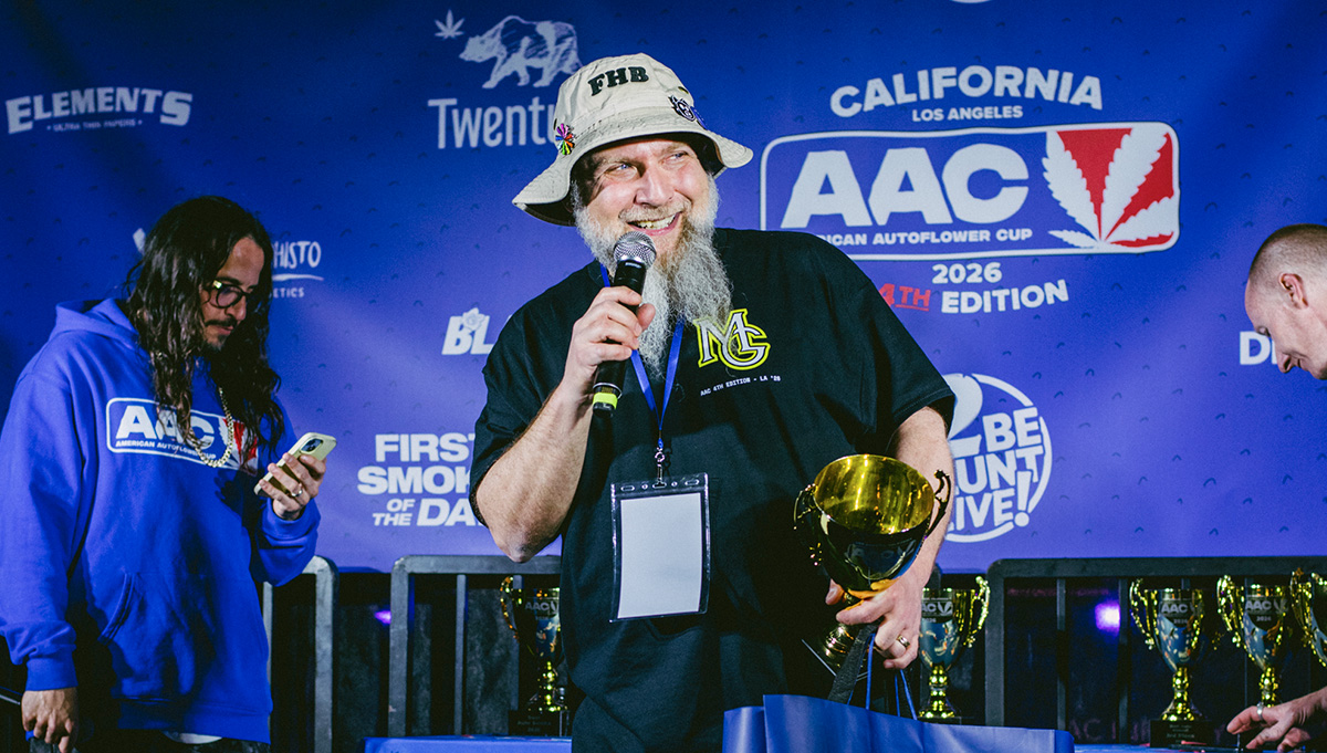 Highest THC Autoflower Strain at the American Autoflower Cup