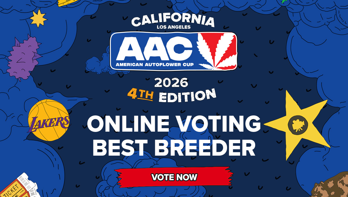UPDATE! Best Autoflower Breeder 2026
