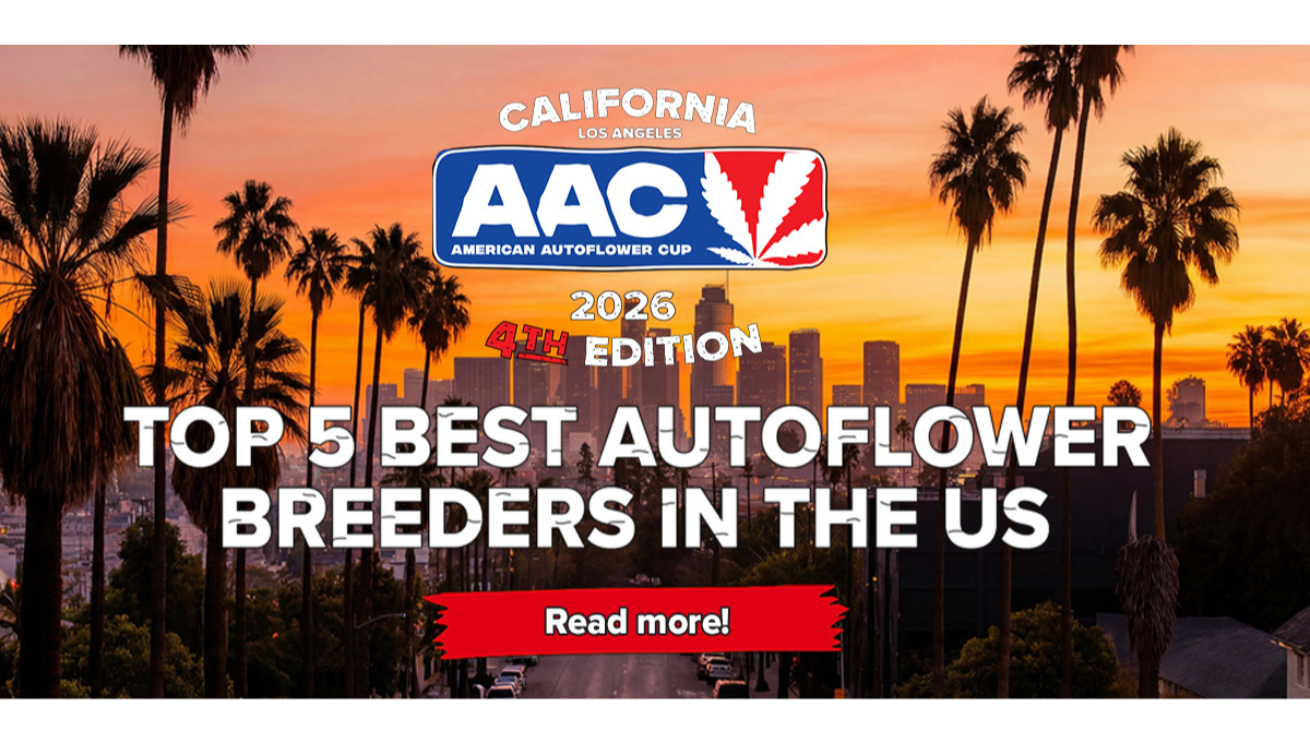 Top 5 Best Autoflower Breeders in the US