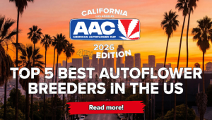 Top 5 Best Autoflower Breeders in the US