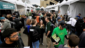 Santa Rosa Cannabis Cup 2022: Your Ultimate Guide