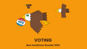The Community Speaks: Early Rankings for the Best Autoflower Breeder