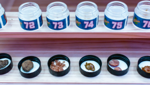 How Autoflowers Are Rewriting the Hash Conversation